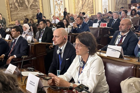 Predsjedavajući Delegacije PSBiH u PSUzM Milan Petković i zamjenica predsjedavajućeg Delegacije Rejhana Dervišević učestvovali su u Palermu na sjednici Komiteta za politička pitanja, sigurnost i ljudska prava PSUzM